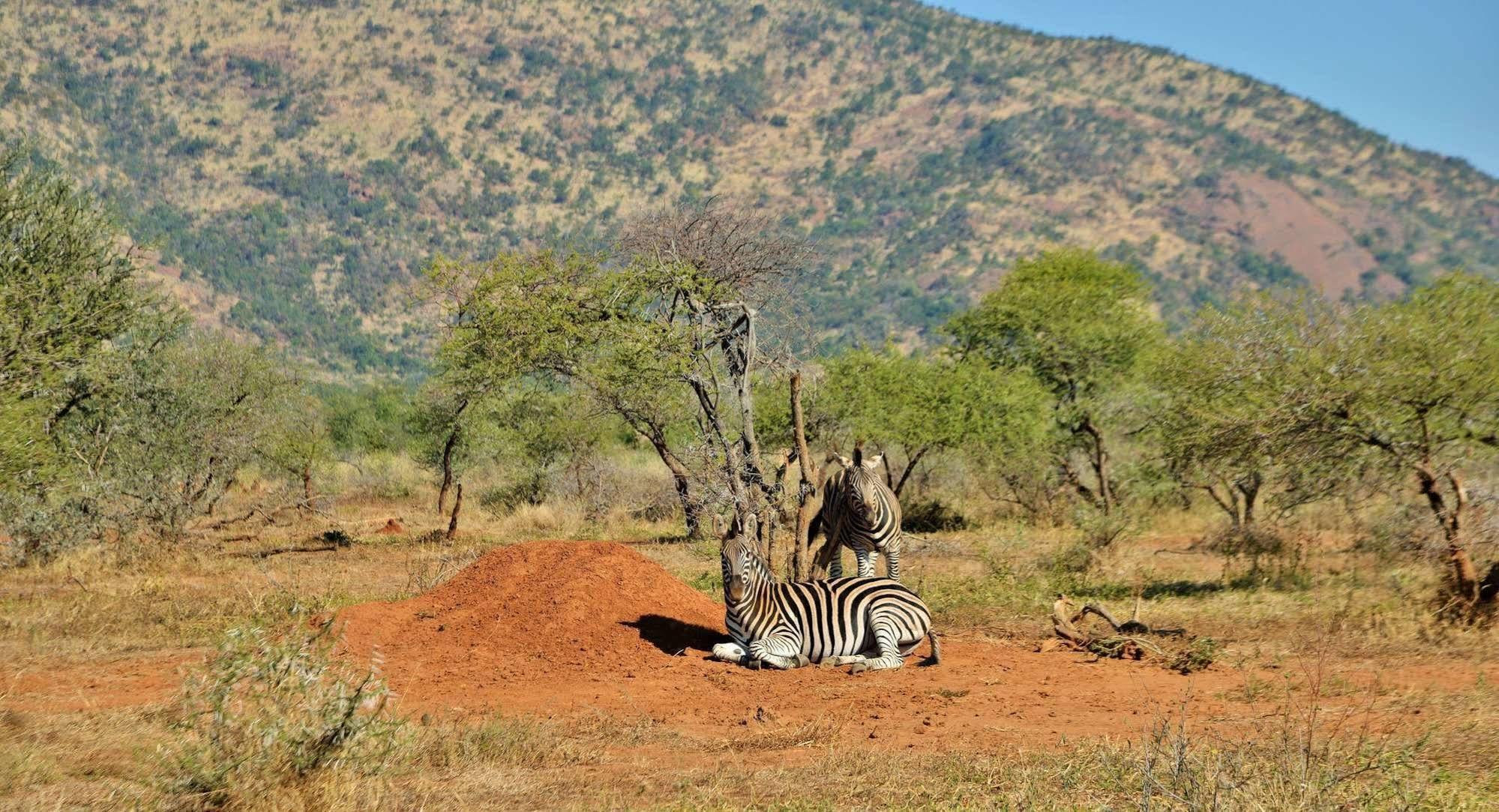 Black Rhino Game Lodge Ruighoek Mine Exterior foto